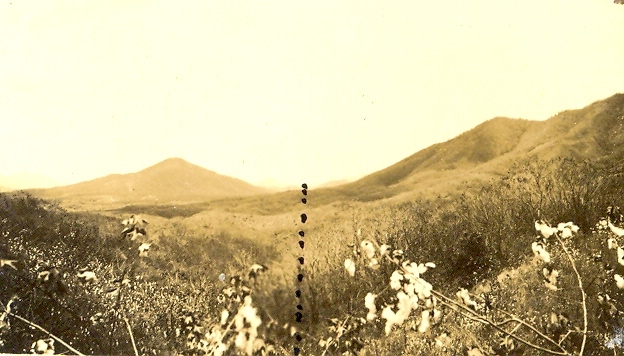 Paisagem não identificada