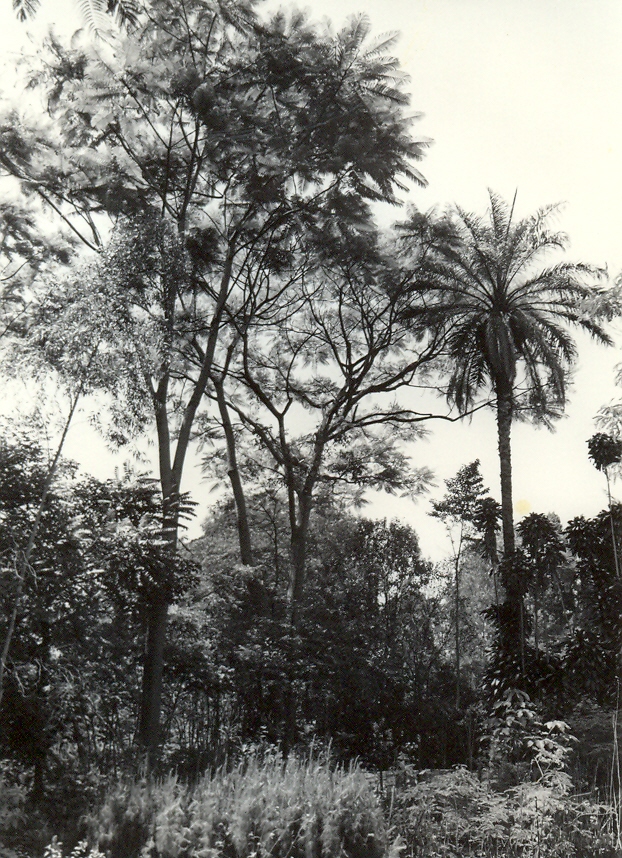 Local não identificado